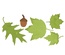 Лезвие Dimensional Small Leaves #1 от Cheery Lynn Designs