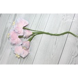 Набор цветов TM Iris - Vanille flowers Свежее утро, розовые с голубым, 5 шт