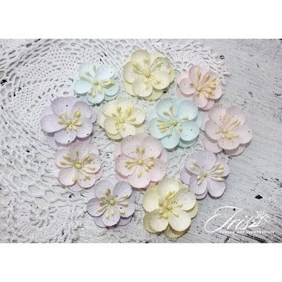 Набор цветов TM Iris - Denise Baby Shabby, 12 шт