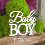 Чипборд ScrapBox - Надпись "Baby Boy" Hi-359