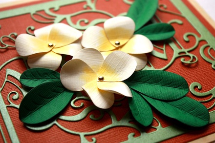 Лезвие Frangipani with Leaves от Cheery Lynn Designs