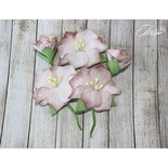 Набор цветов TM Iris - Blossom Бежевые, 5 шт