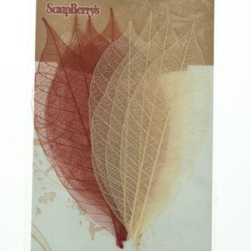 Скелетированные листики из каучукового дерева, 9х5,5см, набор 8 шт., оттенки коричневого