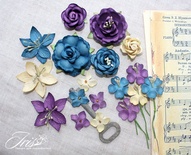 Набор цветов TM Iris - Mystery Dream Ночь в Париже, 18 шт