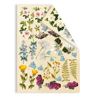 Набір двосторонніх картинок для вирізання Botany summer 15х20см, ТМ Фабрика Декору