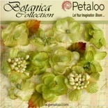 Набор объемных цветов Petaloo - Botanica Minis - Pistachio
