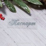 Термонадпись "Паспорт" №4, серебро