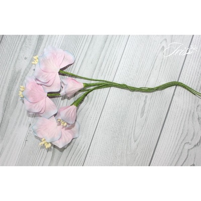 Набор цветов TM Iris - Vanille flowers Свежее утро, розовые с голубым, 5 шт