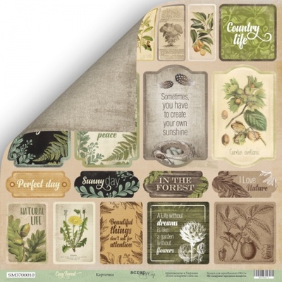 Лист односторонней бумаги для скрапбукинга  от Scrapmir - Карточки (ENG) - Cozy Forest, 30х30см