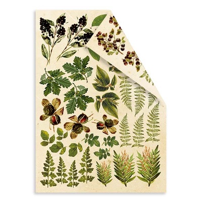 Набір двосторонніх картинок для вирізання Botany summer 15х20см, ТМ Фабрика Декору