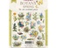 Набор высечек, коллекция Spring Botany, 58шт, ТМ Фабрика Декору