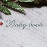 Термонадпись "Baby Book" №1, серебро