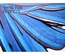 Краска 13arts - Ayeeda Paint - VIVID Blue