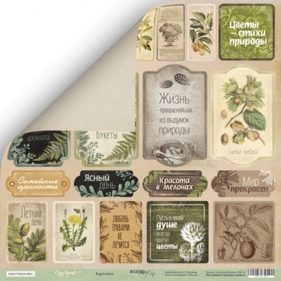 Лист односторонней бумаги для скрапбукинга от Scrapmir - Карточки (RU) - Cozy Forest, 30х30