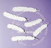 Чипборд от Wycinanka - Перышки, 6 эл., 7-9 см