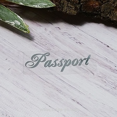 Термонадпись "Passport" №5, серебро