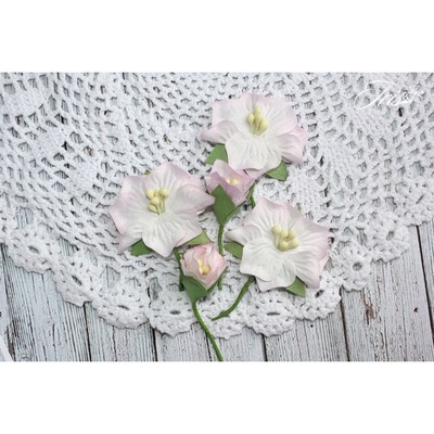 Набор цветов TM Iris - Blossom Розовые, 5 шт