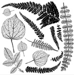Штампы от IOD - Fronds 12x12 Decor Stamp™, 30x30 см