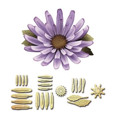 Ножи от Spellbinders - Create an Aster - Астра, набор
