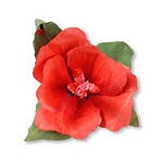 Ножи от Sizzix - Susans Garden - Framelits Dies - Flower Hibiscus