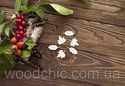 Чипборд Набор кленовые и дубовые листья от WOODchic,  2.5 на 2.5см
