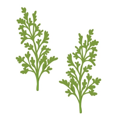Лезвие Sue Wilson - Finishing Touches Collection Maidenhair Fern Die
