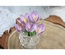 Набор цветов TM Iris - Крокусы фиолетовые, 5 шт
